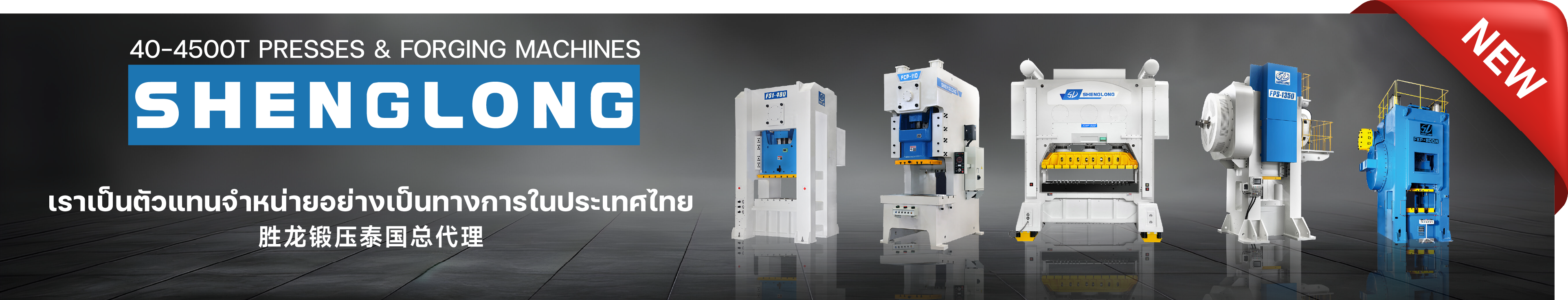 เครื่องปั๊มโลหะ Shenglong